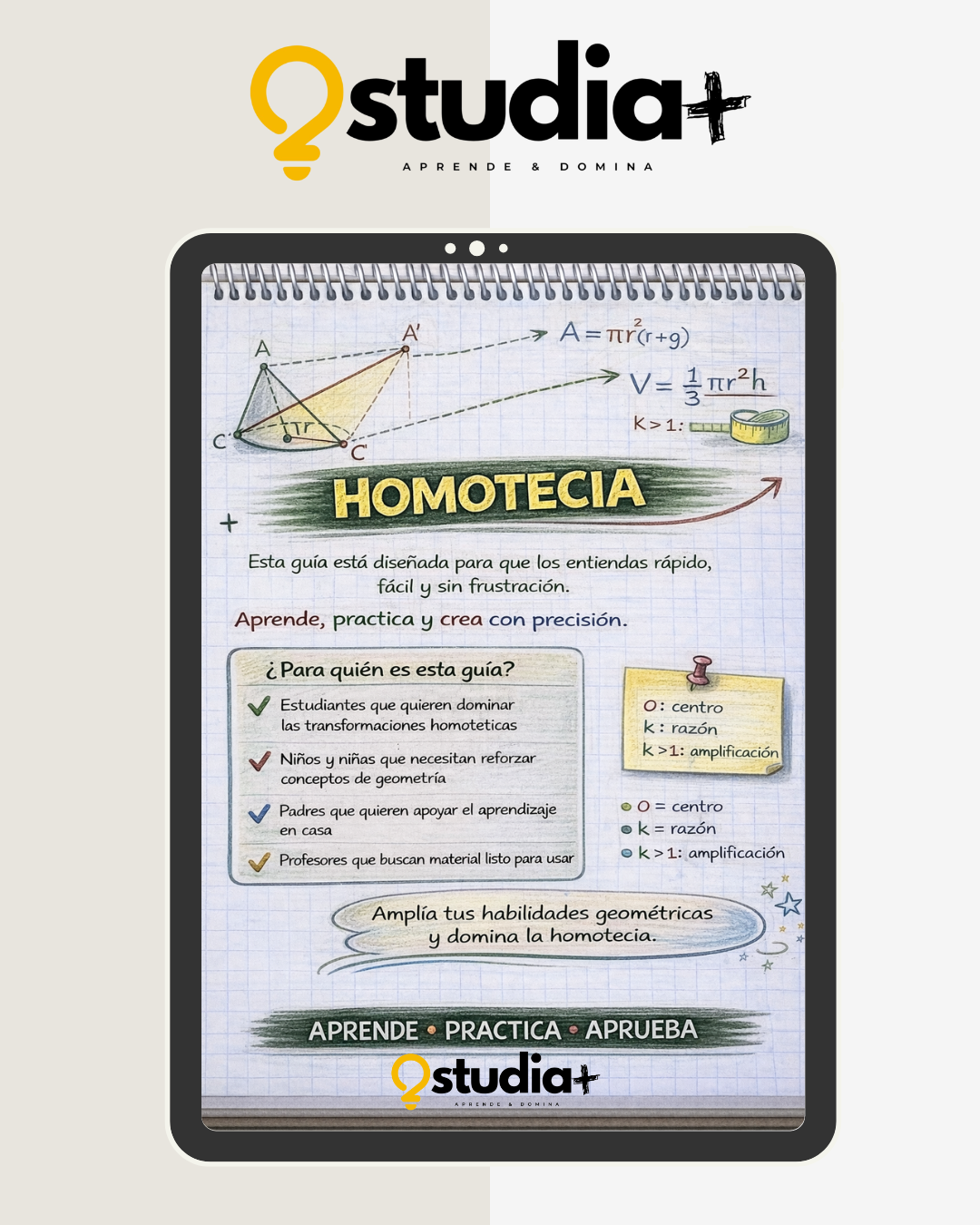HOMOTECIA - 1° MEDIO