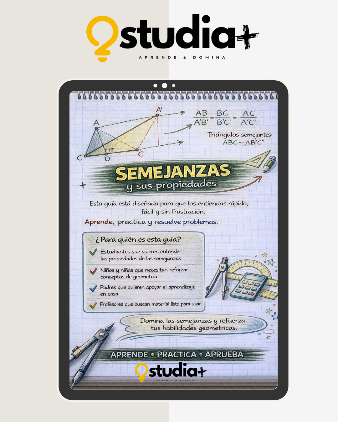 SEMEJANZAS Y SUS PROPIEDADES - 1°MEDIO